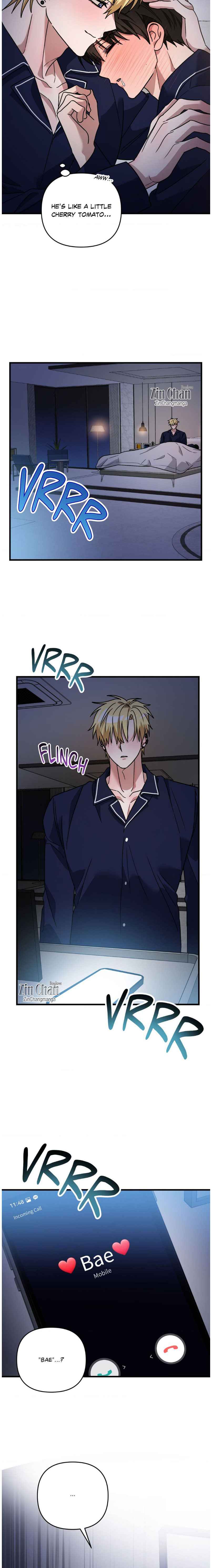 Scammed and Rammed Chapter 24.5 - Page 14 in English