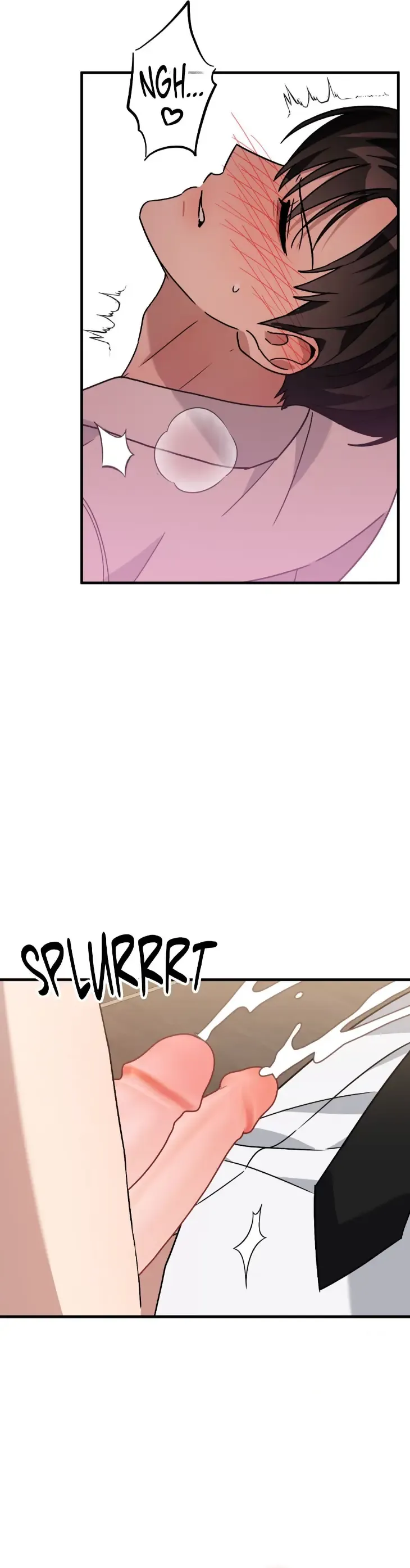 Scammed and Rammed Chapter 46.5 - Page 15 in English