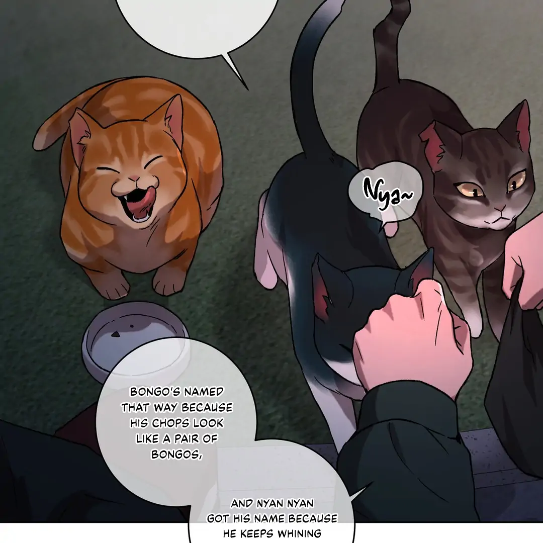Release Your Persona Chapter 1 - Page 13 in English