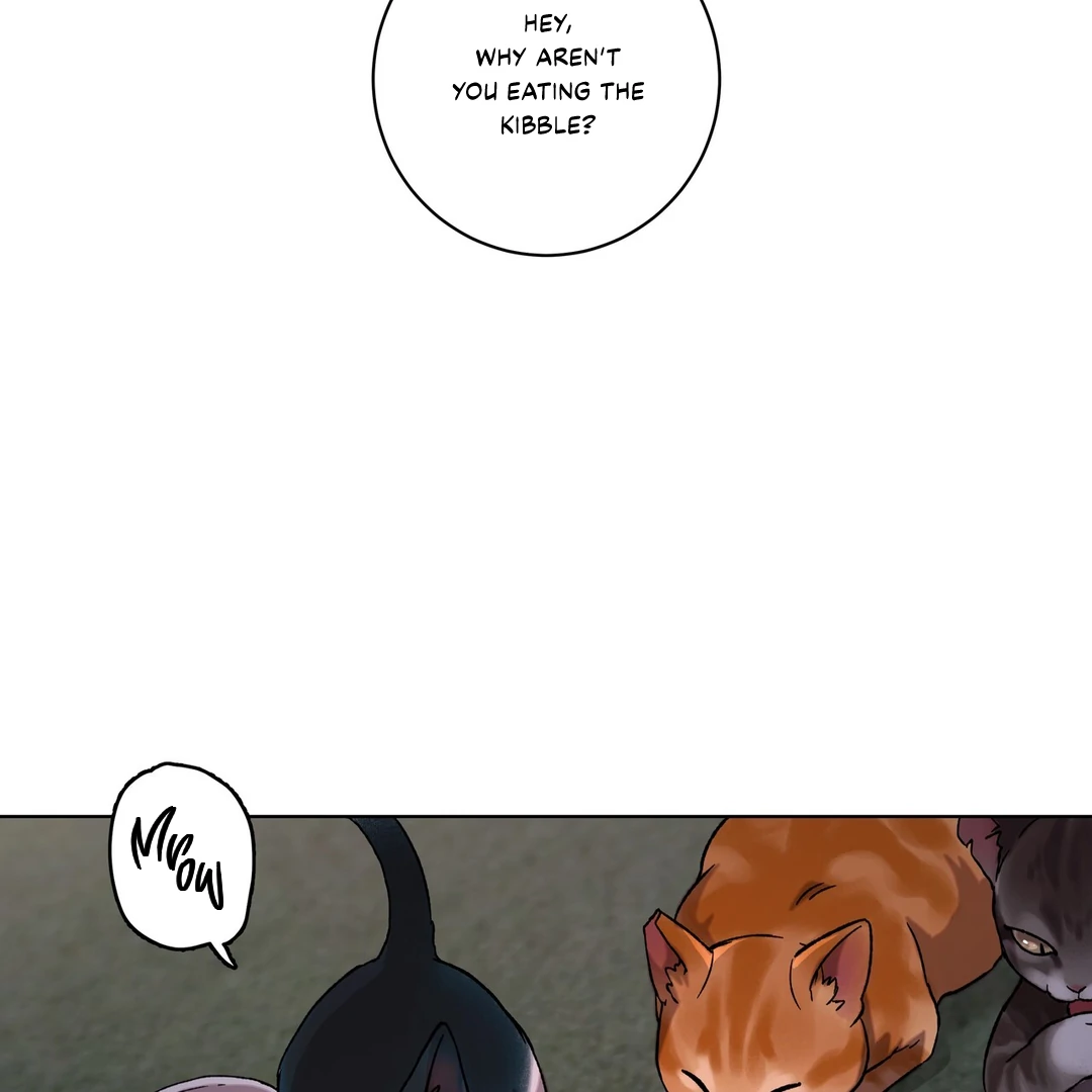 Release Your Persona Chapter 1 - Page 4 in English