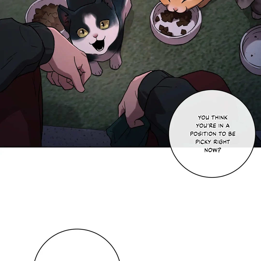 Release Your Persona Chapter 1 - Page 5 in English