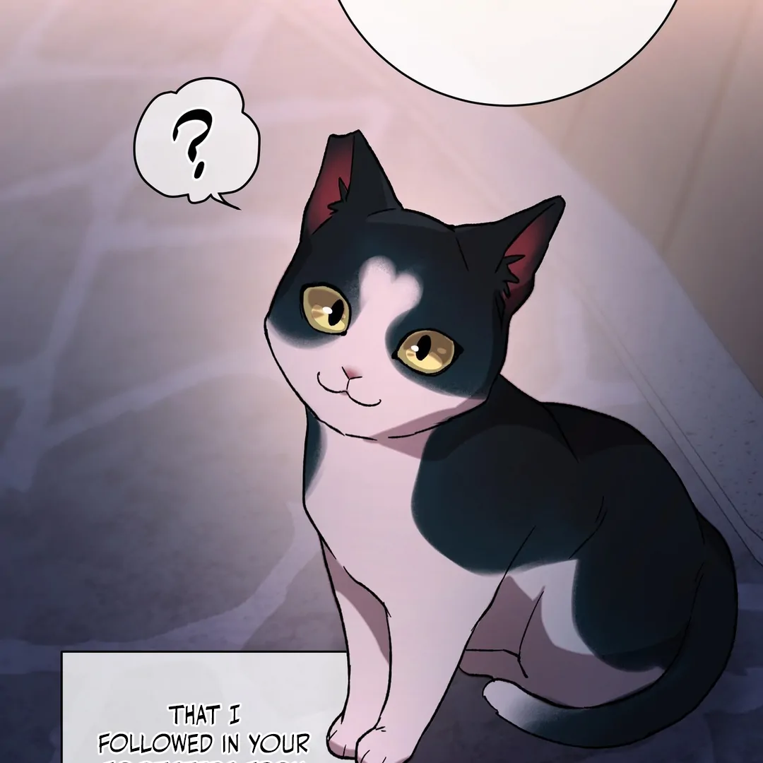 Release Your Persona Chapter 7 - Page 32 in English