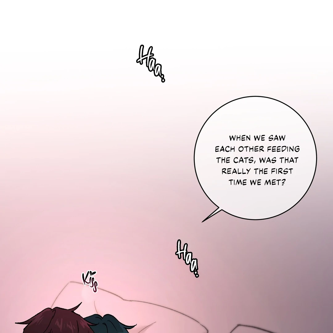 Release Your Persona Chapter 8 - Page 5 in English