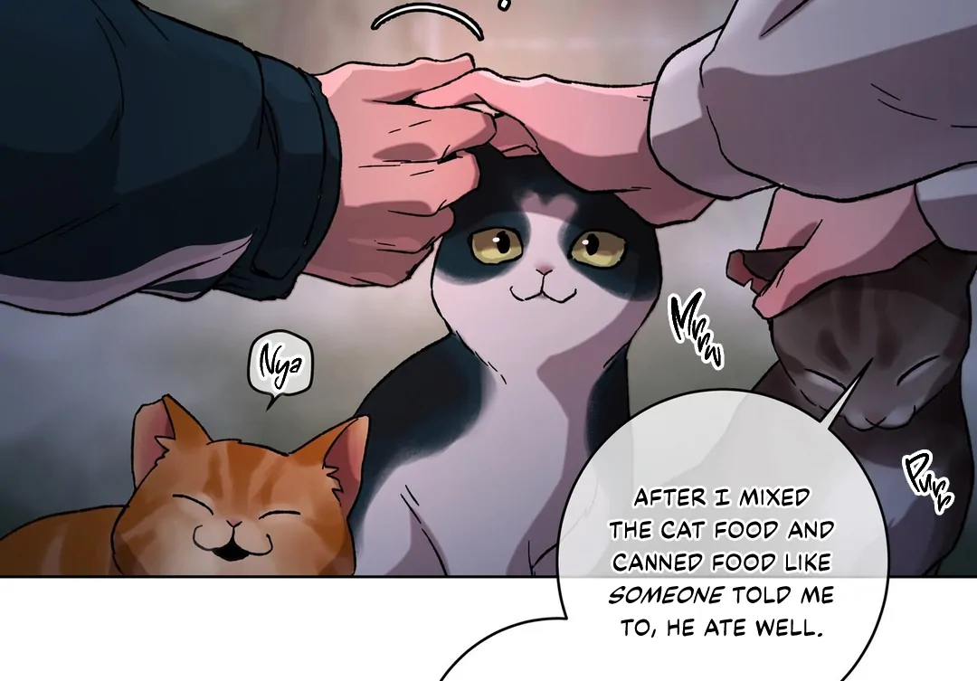 Release Your Persona Chapter 9 - Page 235 in English
