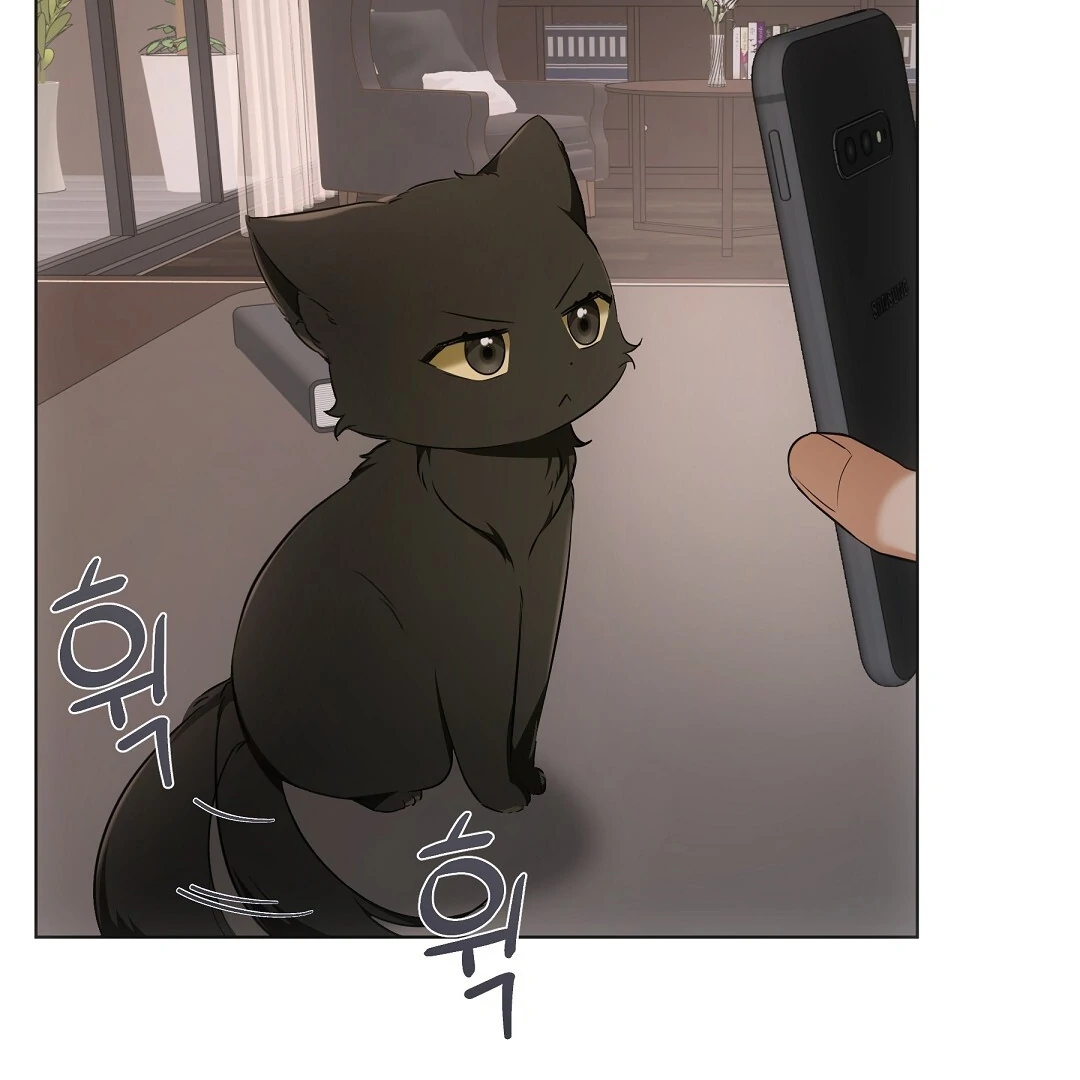 NEKO THERAPY Chapter 11 - Page 31 in English