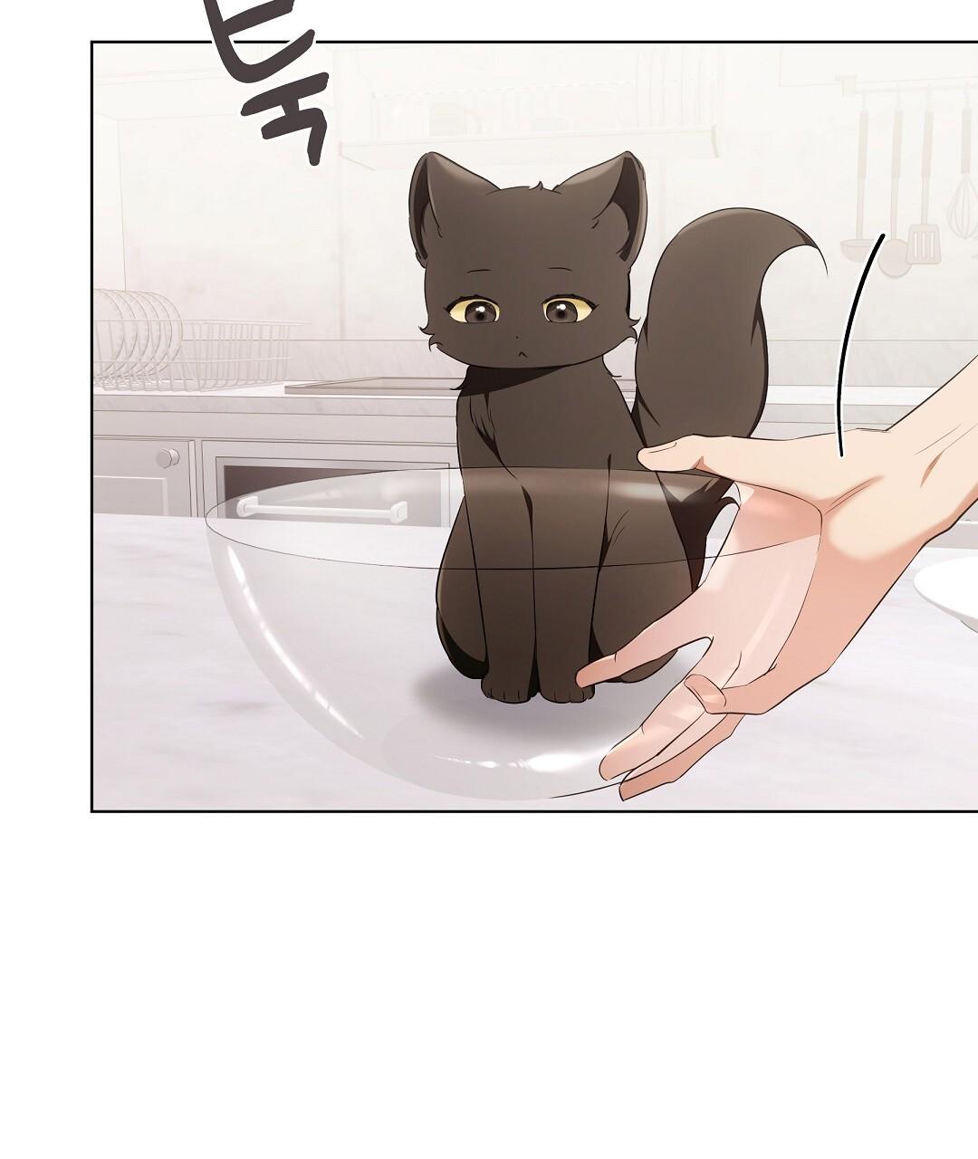 NEKO THERAPY Chapter 19 - Page 15 in English
