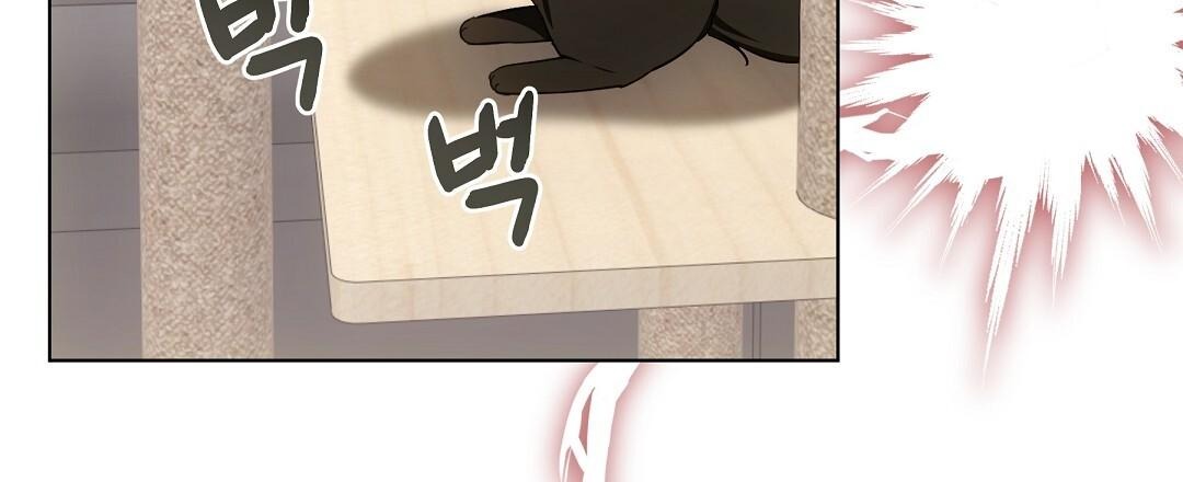 NEKO THERAPY Chapter 21 - Page 70 in English
