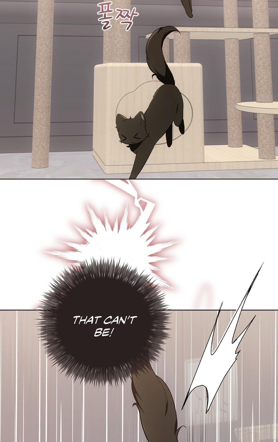 NEKO THERAPY Chapter 21 - Page 72 in English