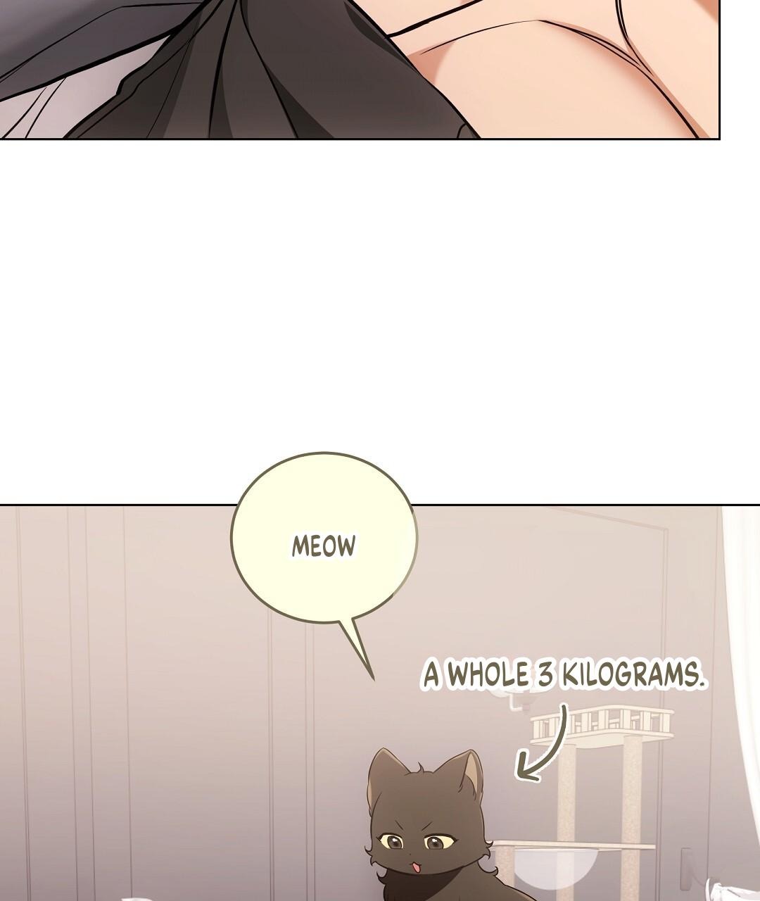 NEKO THERAPY Chapter 21 - Page 95 in English