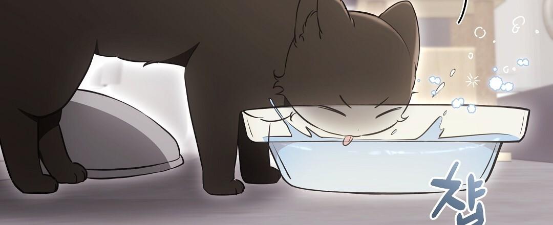 NEKO THERAPY Chapter 23 - Page 8 in English
