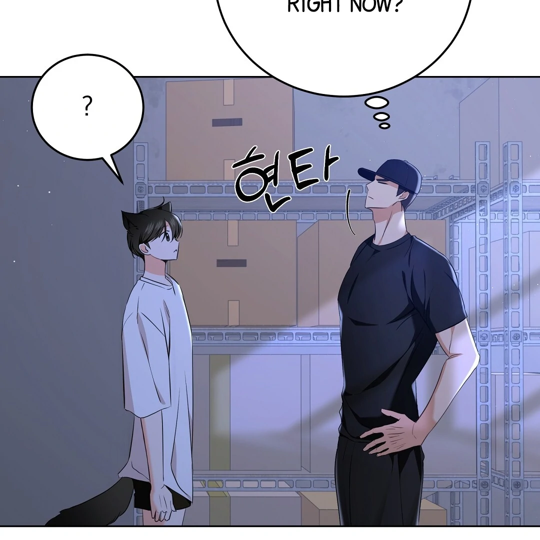 NEKO THERAPY Chapter 6 - Page 27 in English