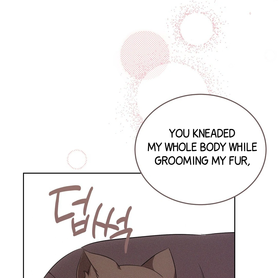 NEKO THERAPY Chapter 7 - Page 66 in English