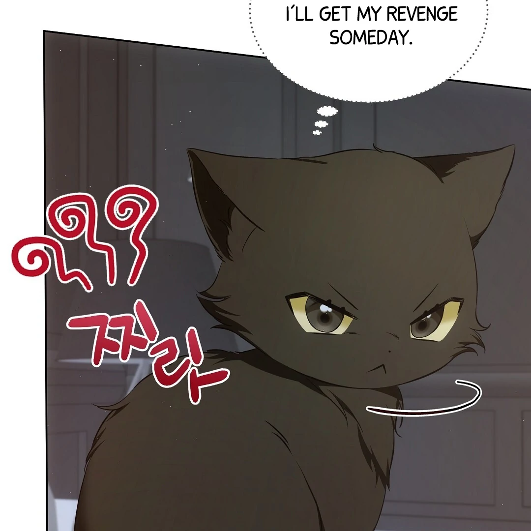 NEKO THERAPY Chapter 8 - Page 13 in English