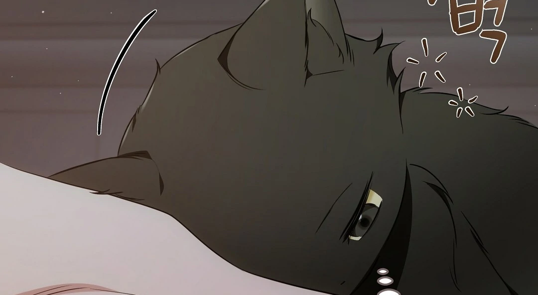 NEKO THERAPY Chapter 8 - Page 36 in English