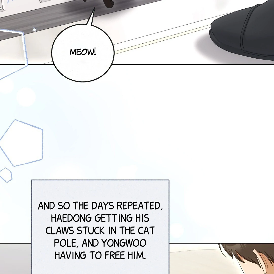 NEKO THERAPY Chapter 9 - Page 30 in English