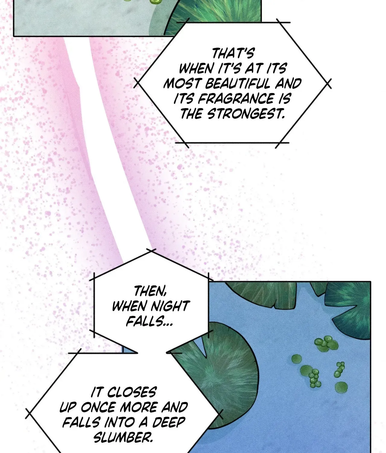 Pond Where Flowers Fall Chapter 66 - Page 28 in English
