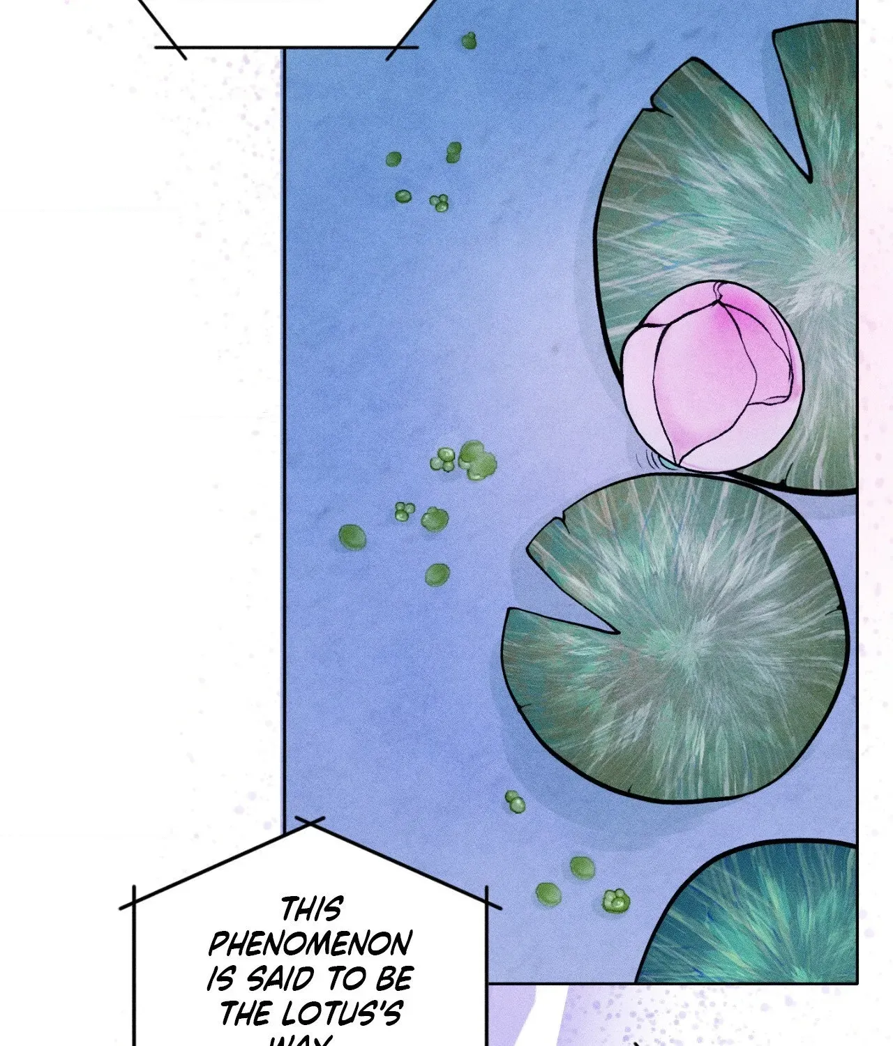 Pond Where Flowers Fall Chapter 66 - Page 29 in English