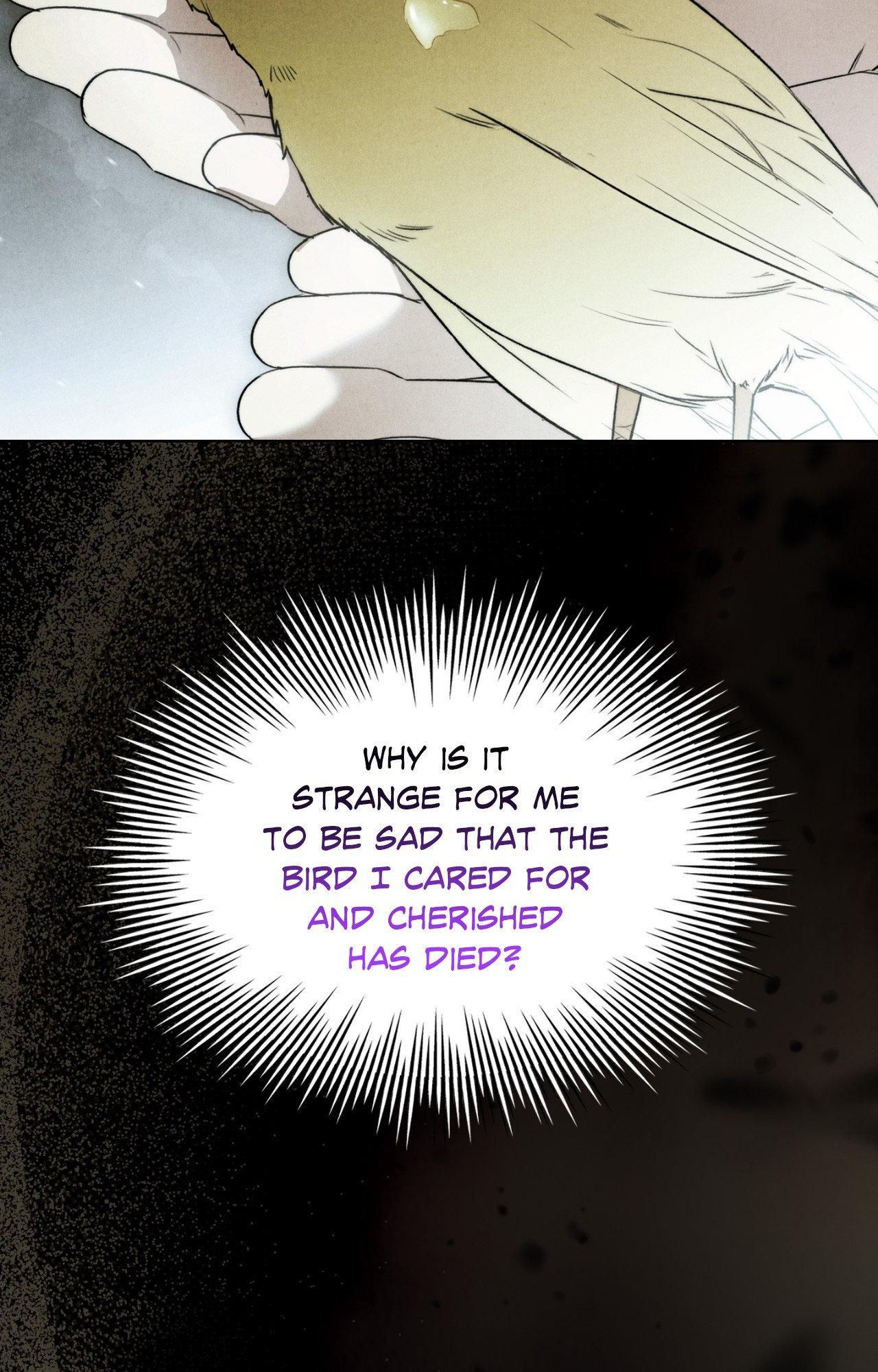 Kiss Me If You Can Chapter 24 - Page 36 in English