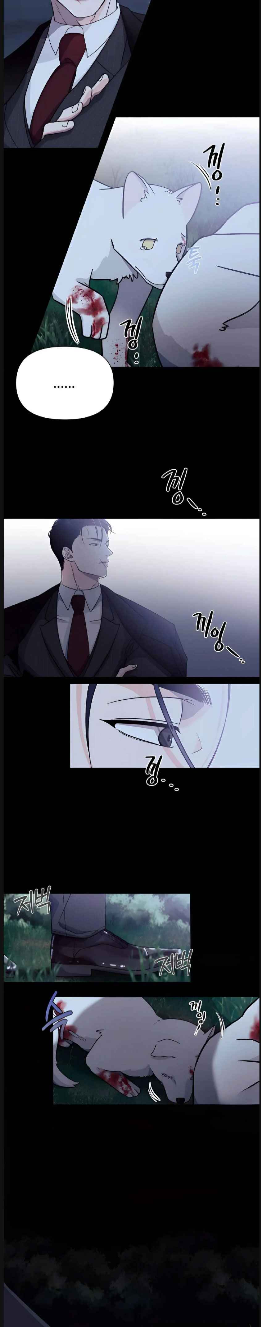 Lovely wolf Chapter 1 - Page 11 in English