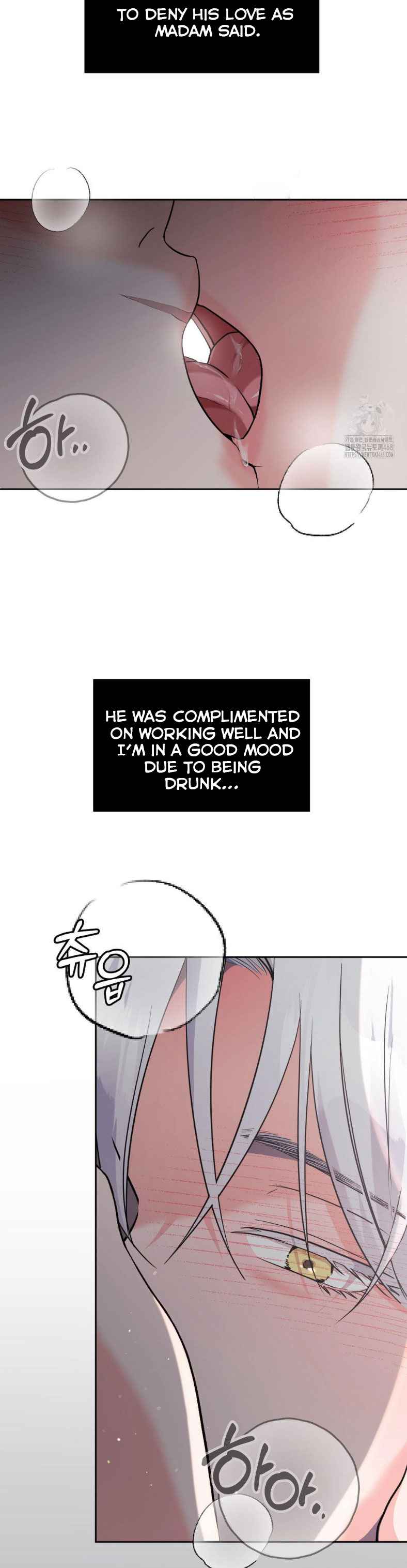 Lovely wolf Chapter 19.5 - Page 12 in English