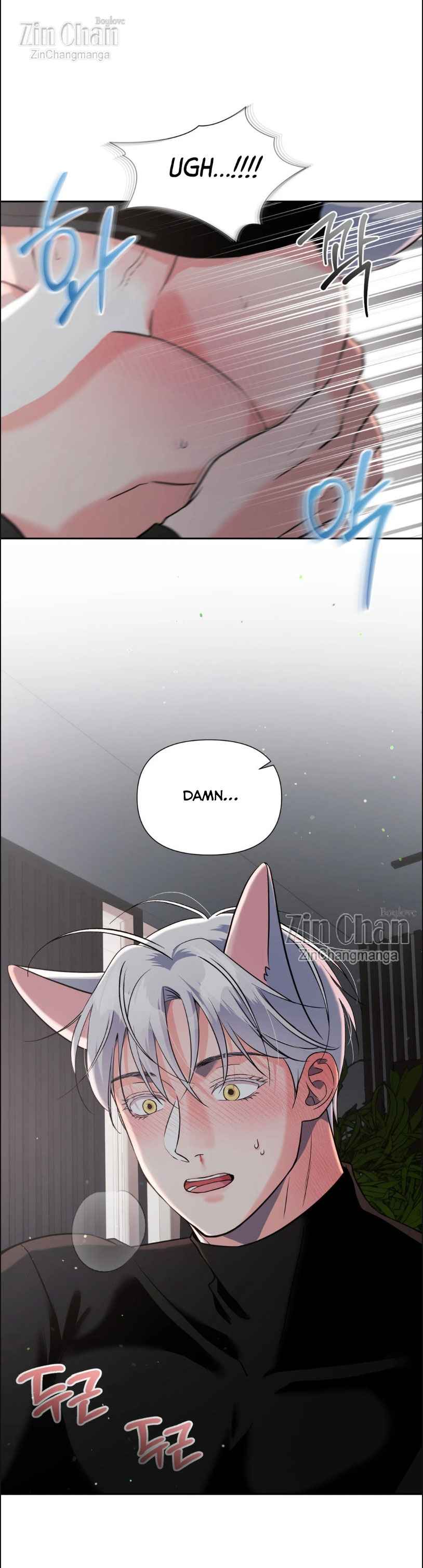 Lovely wolf Chapter 20.5 - Page 13 in English