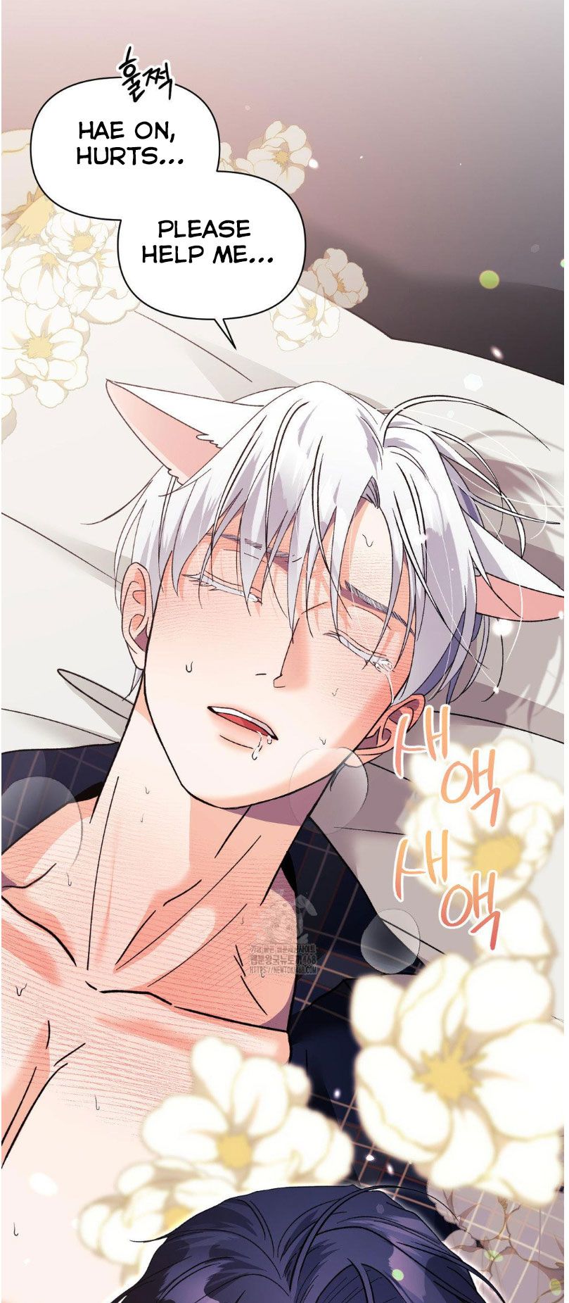 Lovely wolf Chapter 25.5 - Page 27 in English