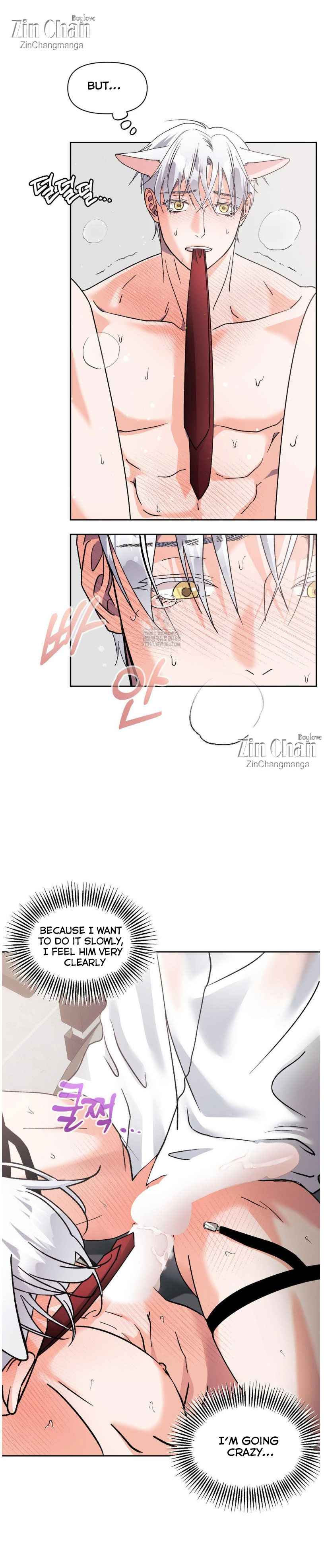 Lovely wolf Chapter 28.5 - Page 13 in English