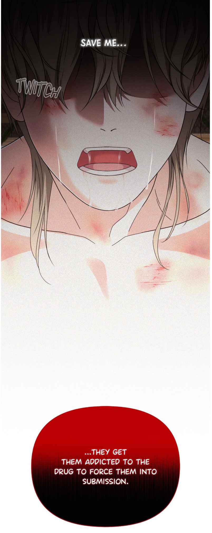 Lovely wolf Chapter 50.5 - Page 13 in English