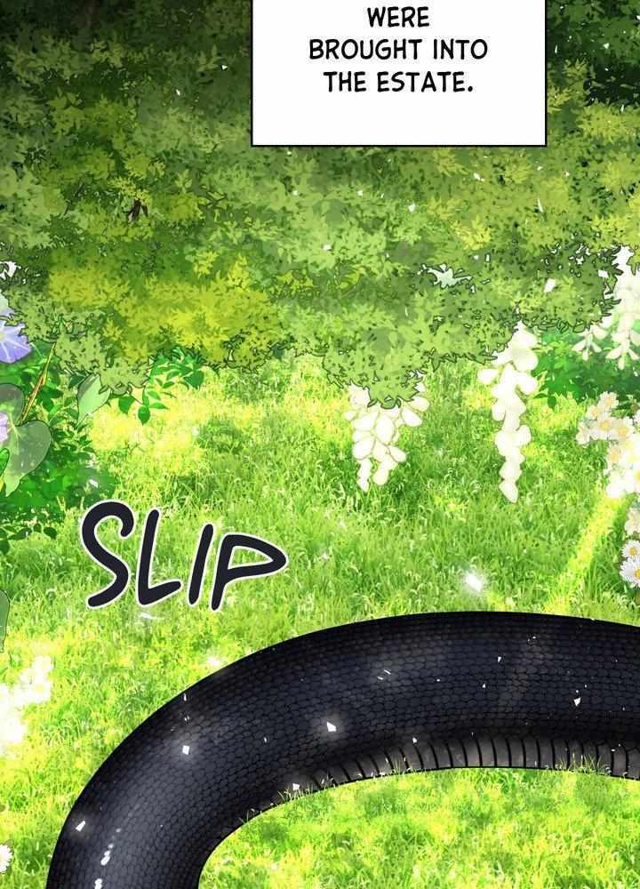 Snake Hole [UNCENSORED] Chapter 27 - Page 42 in English