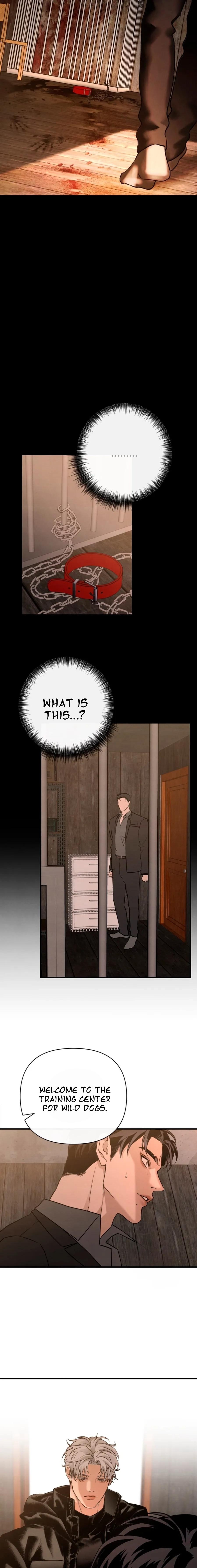 Read Taming the Alpha Dog Manga Online Free – Dark BL, Psychological Drama & Power Play Chapter 3 - Page 12 in English