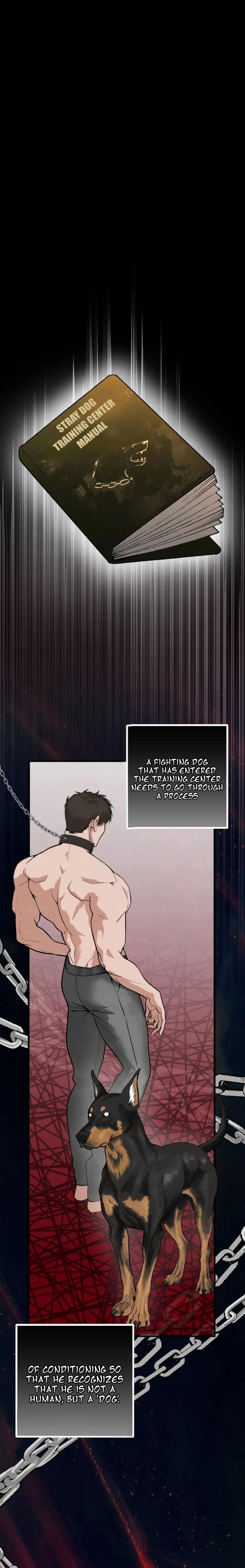 Read Taming the Alpha Dog Manga Online Free – Dark BL, Psychological Drama & Power Play Chapter 4 - Page 13 in English