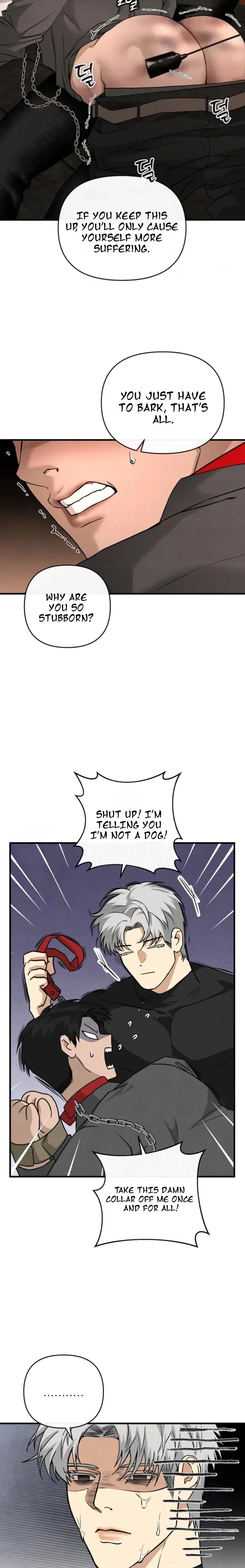 Read Taming the Alpha Dog Manga Online Free – Dark BL, Psychological Drama & Power Play Chapter 4 - Page 19 in English