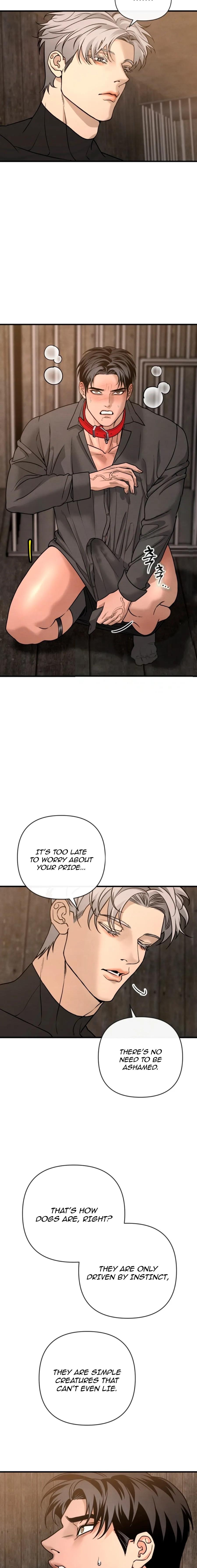 Read Taming the Alpha Dog Manga Online Free – Dark BL, Psychological Drama & Power Play Chapter 5 - Page 11 in English