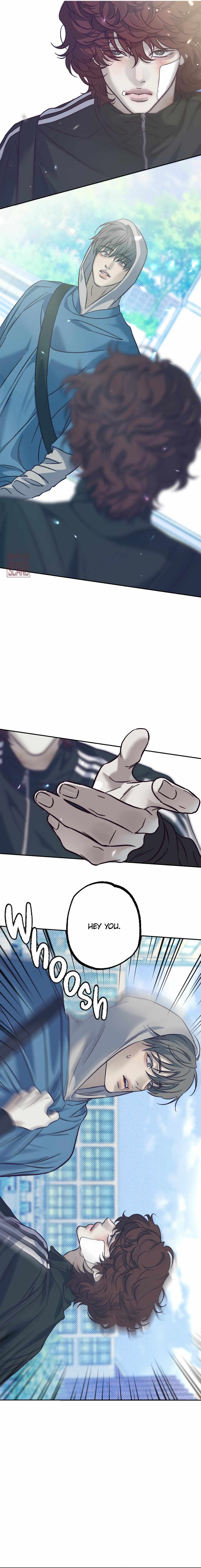 Do Not Press the Plum Chapter 5 - Page 21 in English