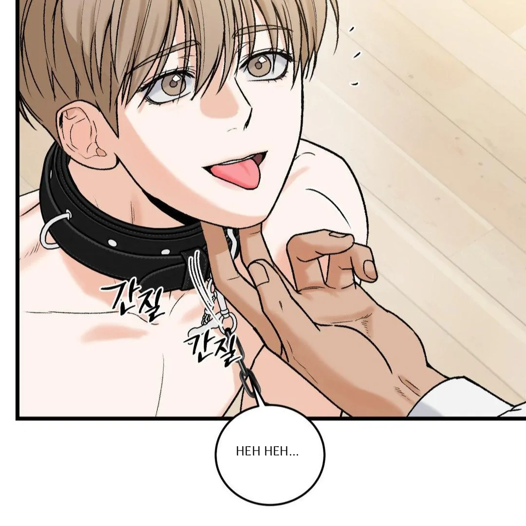 MY SADISTIC MASTER Chapter 15 - Page 13 in English