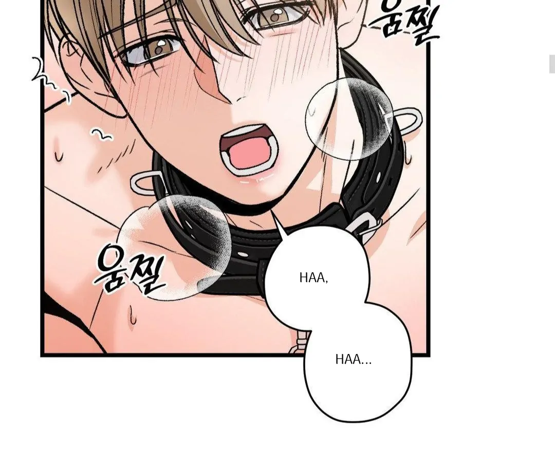 MY SADISTIC MASTER Chapter 16 - Page 27 in English