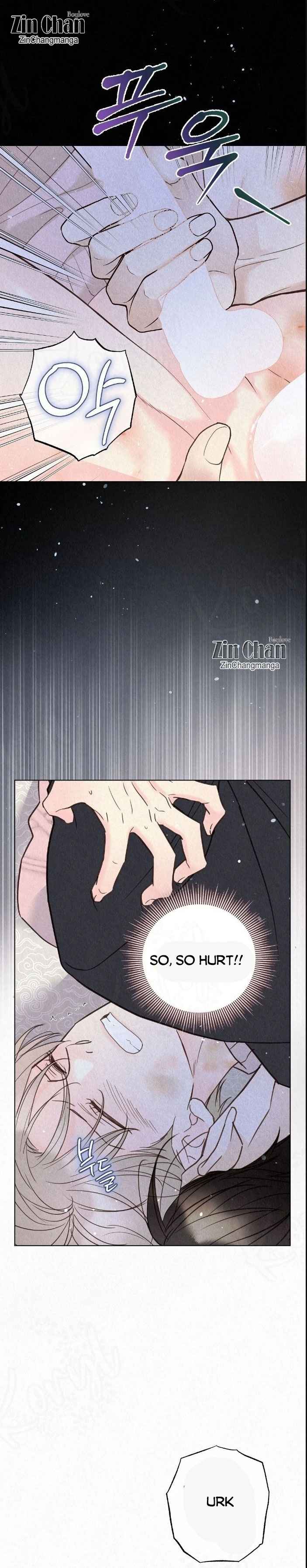 TALE OF A VILLAIN Chapter 29.5 - Page 13 in English