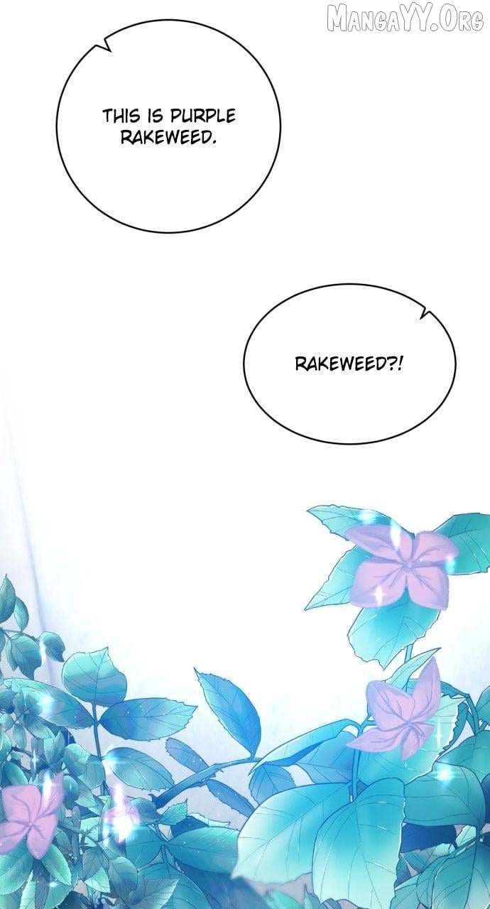 Zero Game Chapter 343 - Page 43 in English