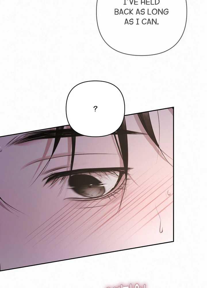 Diamond Dust [Uncensored] Chapter 25 - Page 81 in English