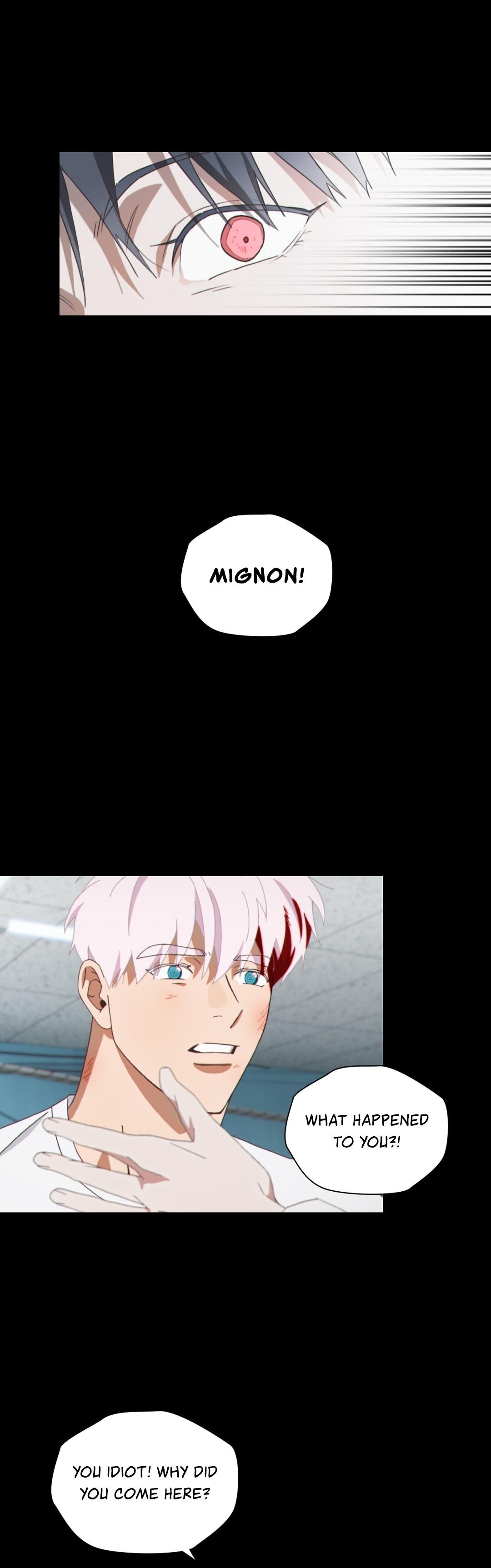 MIGNON Chapter 12 - Page 9 in English