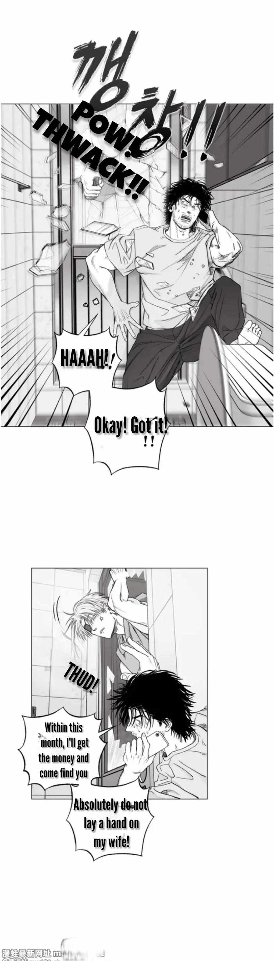 Indomitable Champion Chapter 40 - Page 27 in English