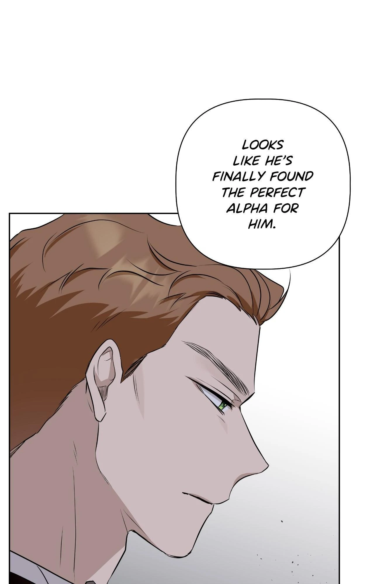 My Perfect Omega Chapter 19 - Page 17 in English