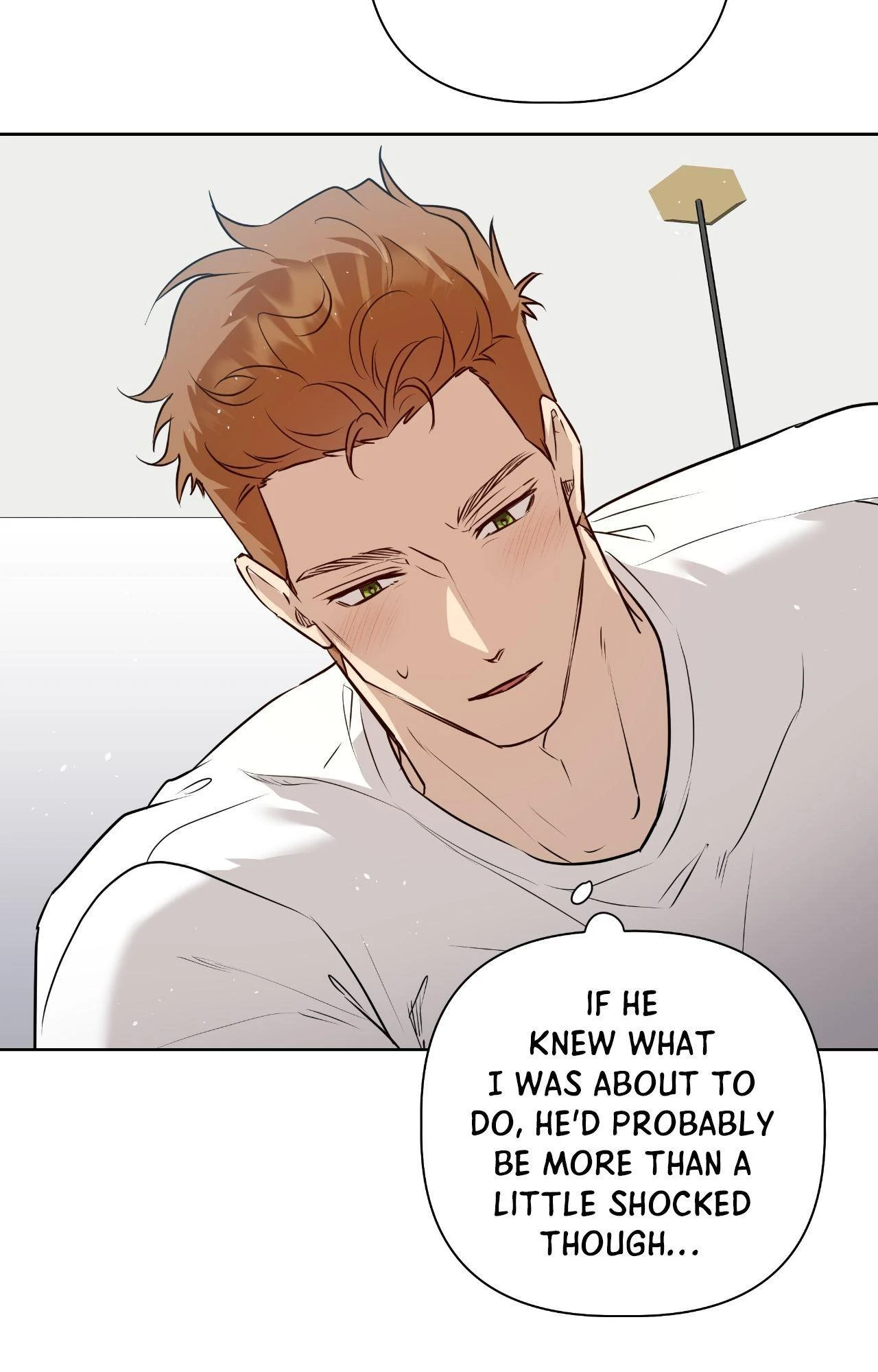 My Perfect Omega Chapter 31 - Page 28 in English
