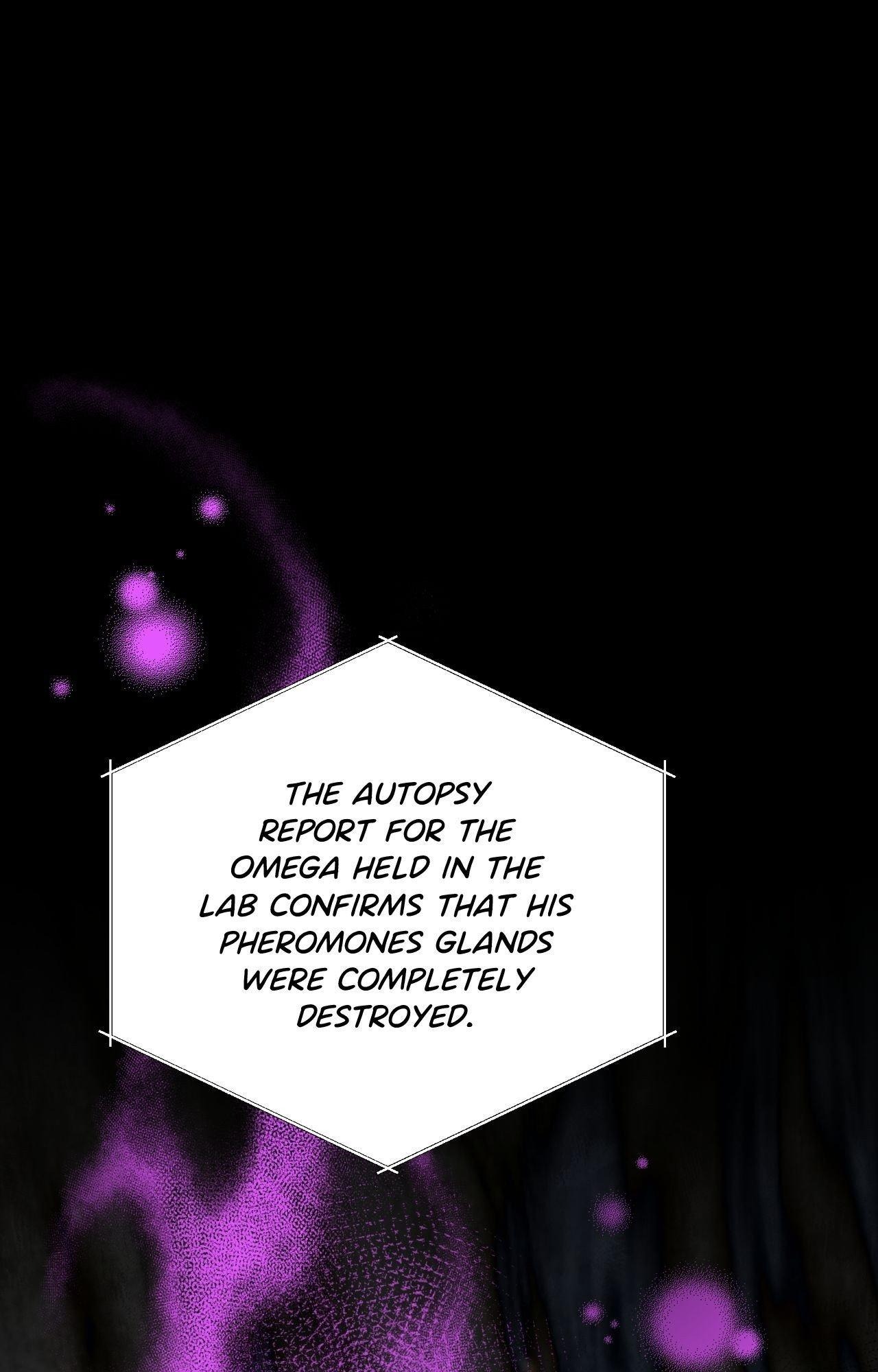 My Perfect Omega Chapter 42 - Page 25 in English