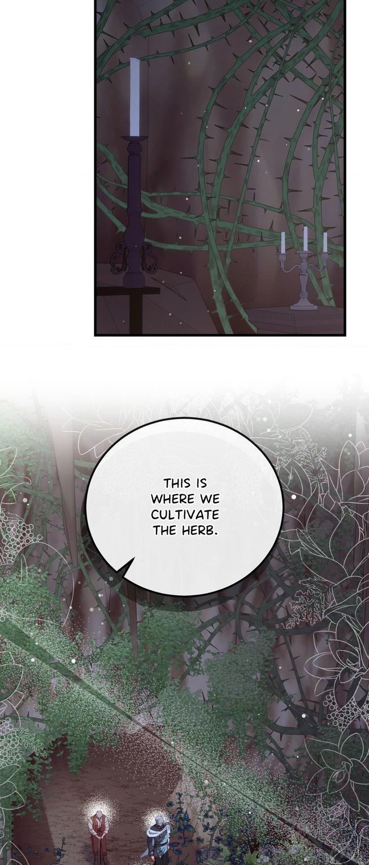 Hunks, Harems, and Hardcore Habits Chapter 53 - Page 44 in English