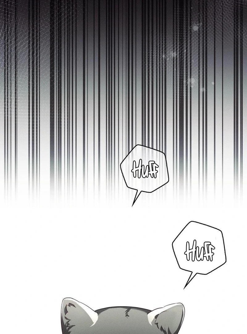 Blood Poker Chapter 15 - Page 72 in English
