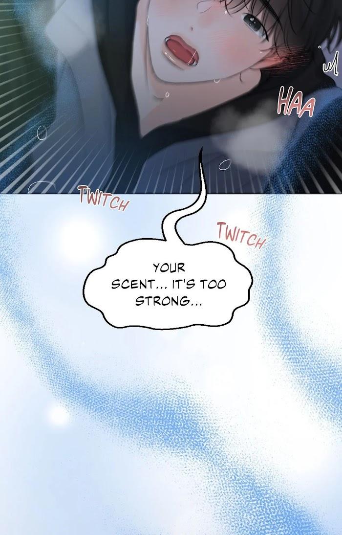 The Boundary of Fragrance Chapter 44 - Page 38 in English