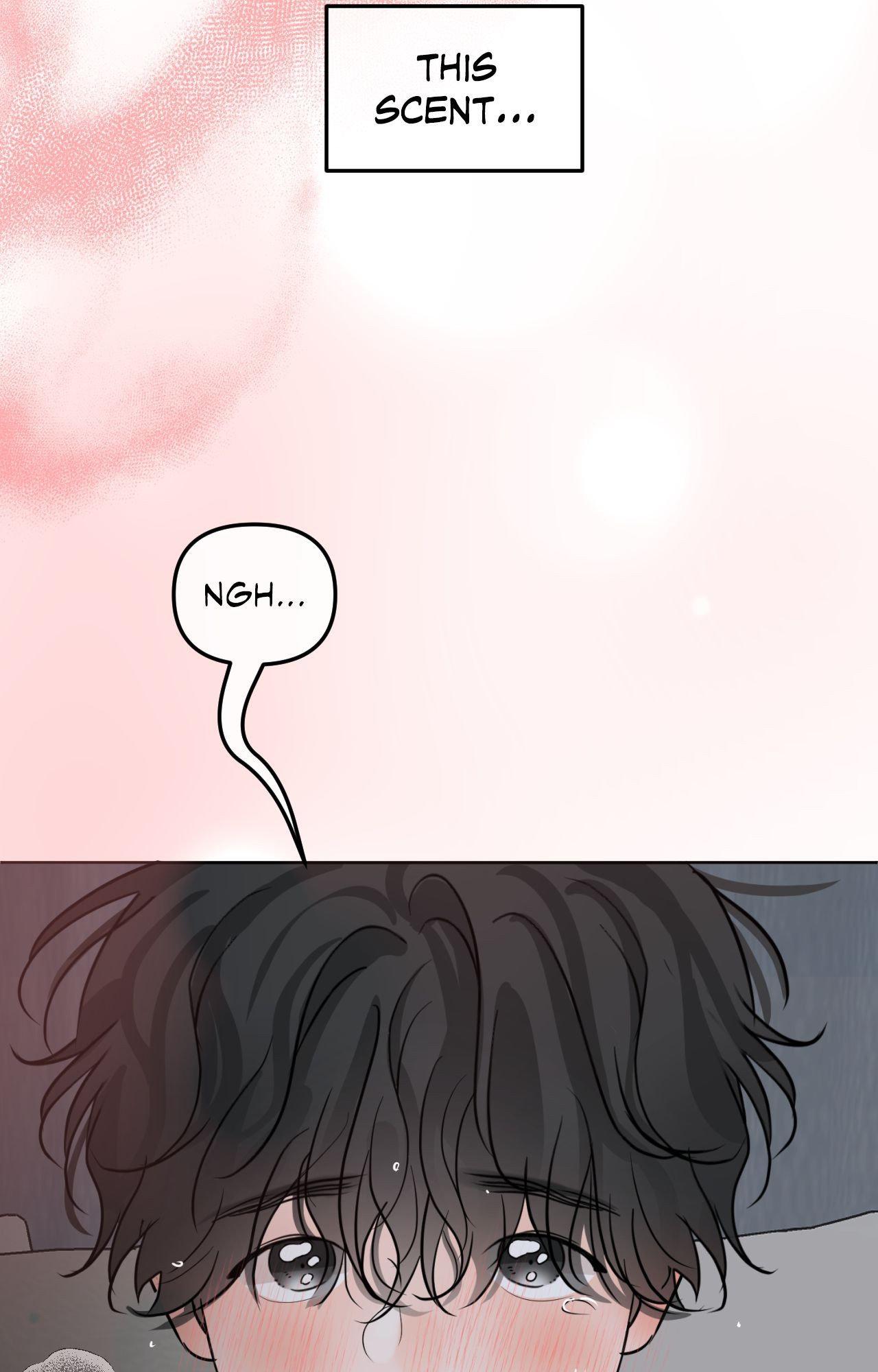 The Boundary of Fragrance Chapter 76 - Page 67 in English