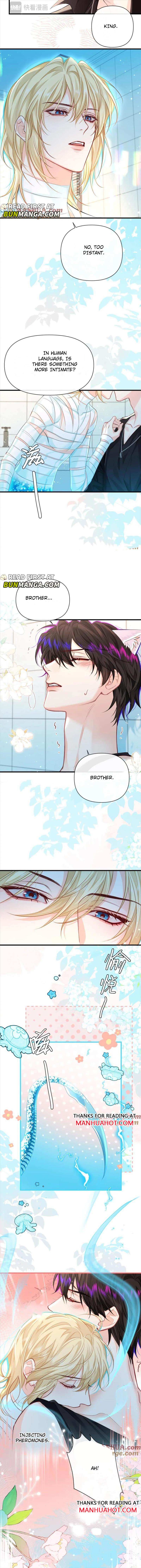 The Falling Merman Chapter 81 - Page 3 in English