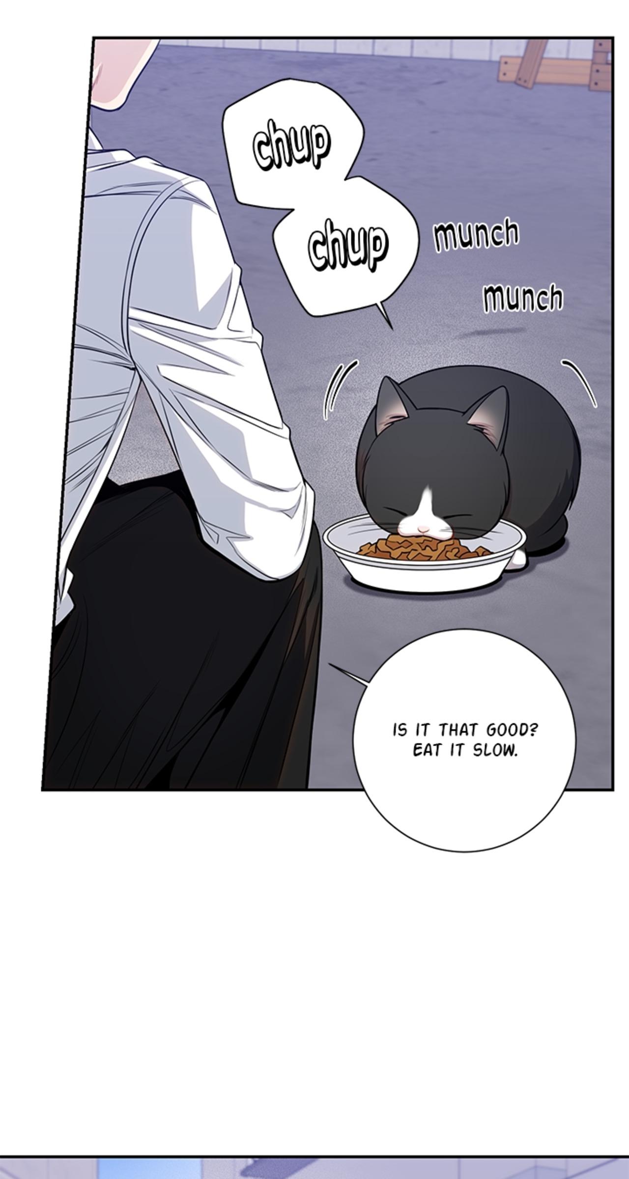 Cherry Blossoms After Winter Chapter 152 - Page 38 in English